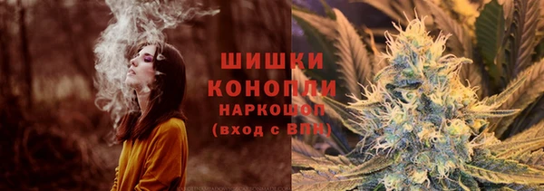 прущие крисы Арсеньев