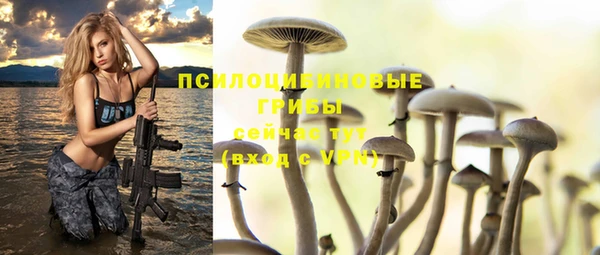 ALPHA PVP Покров